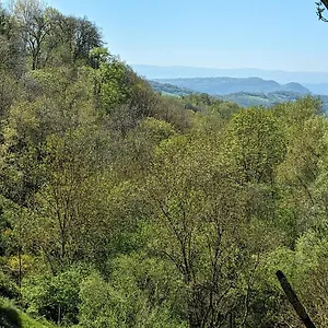 Hébergement de vacances Petite Bergerie En Pierres Confort, Salles-Curan